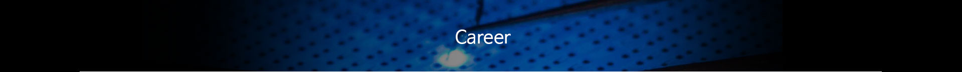 Career